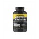 Acetyl L Carnitine 100 Caps de Primaforce