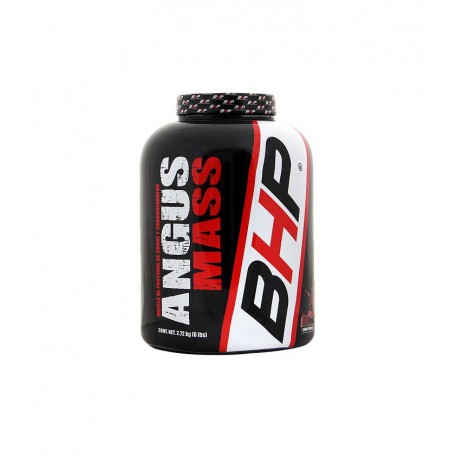 Angus Mass 6lbs gainer de carne